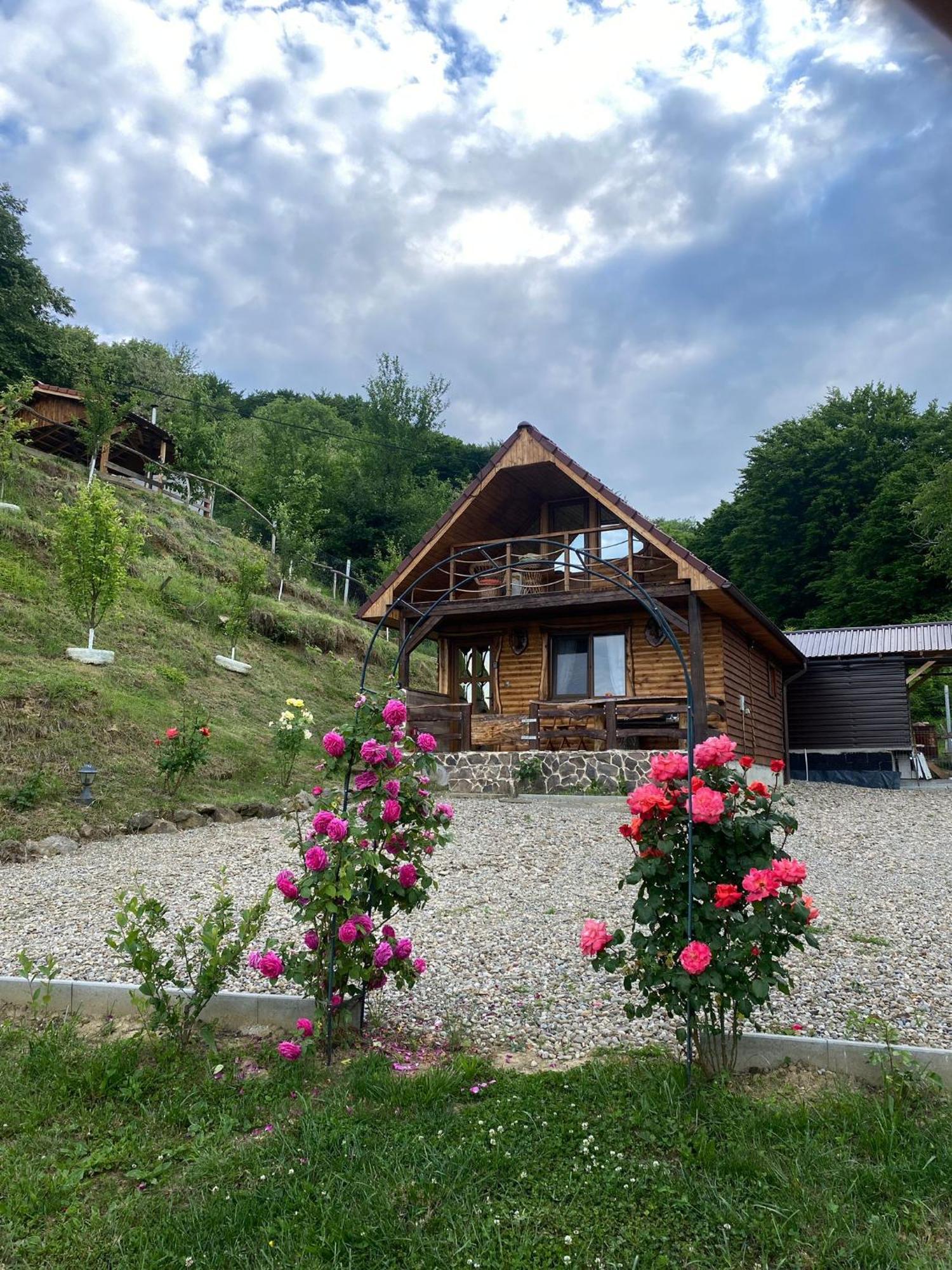 Chalets Du Bf سيفِسوارا المظهر الخارجي الصورة